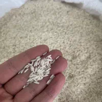فروش برنج طارم درجه یک