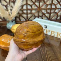 ظرف پذیرایی دردار گردو و بادام زمینی