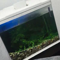 اکواریوم AQUA شیشه خم