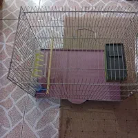 قفس پرنده نو