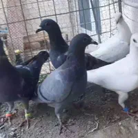 اسباب بازی