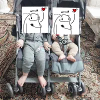 کالسکه دوقلو