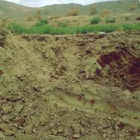 خاک باغچه100٪ضمانتی گوربندماسه بادی .مل. کودگاوی