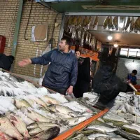 ماهی شمال و جنوب بازارچه غدیر