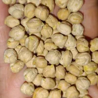 ن خ د بهاره