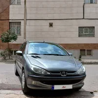 ۲۰۶ تیپ ۲ استثنایی کم کار