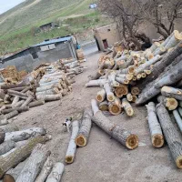 خرید چوب صنوبر قطره ۱۵ به بالا ۲۱ تومن.