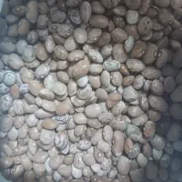 لوبیا چیتی