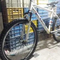 دوچرخه ویوا ۲۶