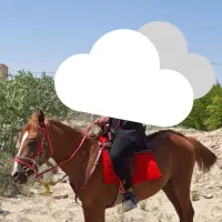 اسب