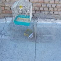 ۳عددقفس پرنده