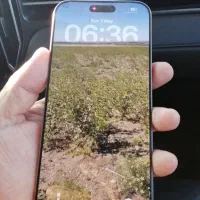 iPhone 16 Promax Za|موبایل|مشهد, گلشور|دیوار