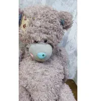 خرس بزرگ