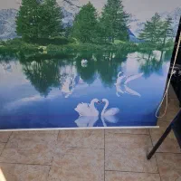 پرده زبرا طرح دار