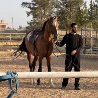 هیجان سوارکاری در باشگاه بانی با مجوز فدراسیون