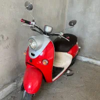 پاکشتی وینو