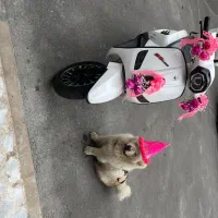 وسپا مدل ۱۴۰۱ کویر s5