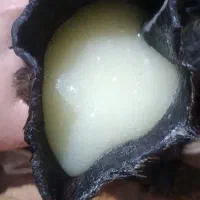 روغن حیوانی