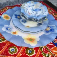 سرویس پذیرایی
