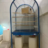 قفس طوطی