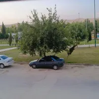 پژو فروشی مدل ۹۵|خودرو سواری و وانت|کرمانشاه, |دیوار