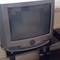 تلویزیون