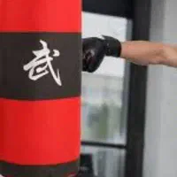 کیسه بوکس حرفه ای