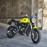 زونتس Z2(g1) خشک