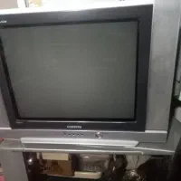 تلوزیون