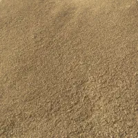 فروش چهار تن گشنیز سبز