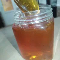 عسل گون و ژل رویال اصل