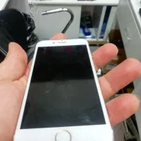 آیفون 7 32گیگ|موبایل|تبریز, |دیوار