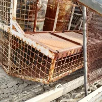 اتاق وانت بزرگ مسقف