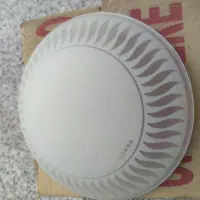 حباب سقفی