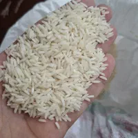 برنج شیرودی درجه یک