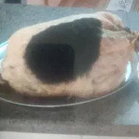خیگ