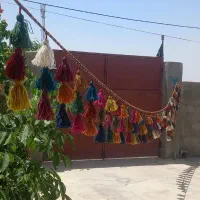 کاموا
