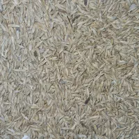 جو چاق|کالسکه و لوازم جانبی|اراک, |دیوار