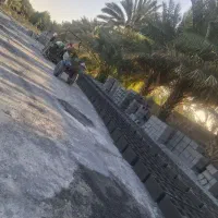 بلوک ۲۰ در ۴۰ دیواری قیمت مناسب