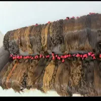 خریدار و فروشنده مو طبیعی دسته و عمده