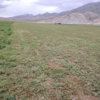 اجاره-50هکتار-زمین-جای-یونحه