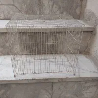 قفس پرنده
