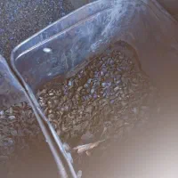 کربن پوست پسته