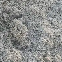 کاه سفید نیشکر باگاس( مستقیم از کارخانه، درجه یک)