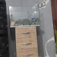 اکواریم ۶۰ سانتی