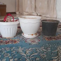 گلدان سفید