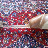 تار،ساخته فرشاد فرجی