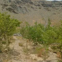 30-قصب-زمین-ویلایی-با-اب-در-هفته