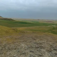 2عدد بوقلمون ماده و ،