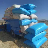 خرید و فروش کاه گندم